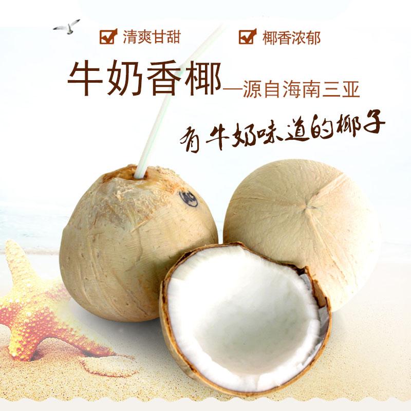 教你怎么买海南特产!不花冤枉钱