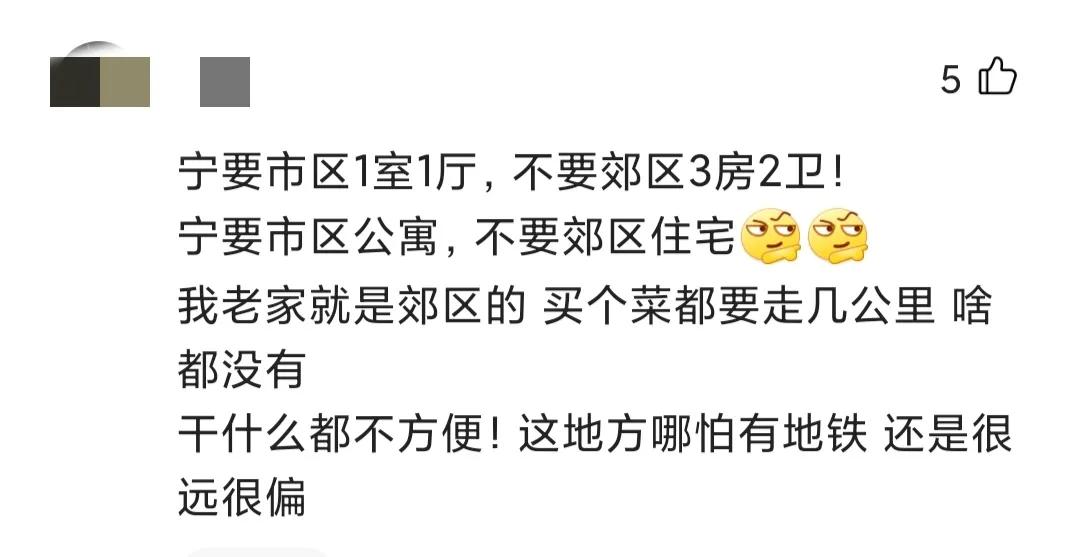 涨不动、卖不掉!那些在武汉郊区买房的人,真的被“套”住了吗?